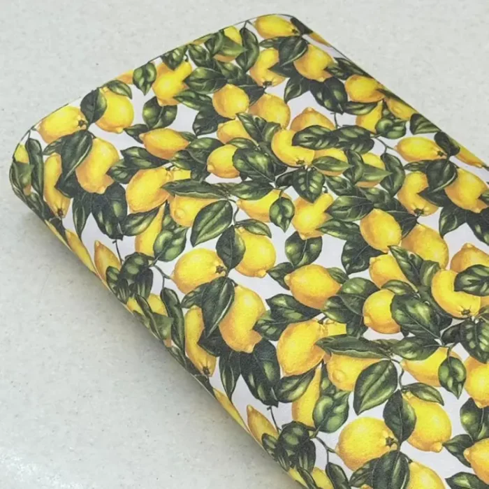 IMG-20251106-WA0015webp