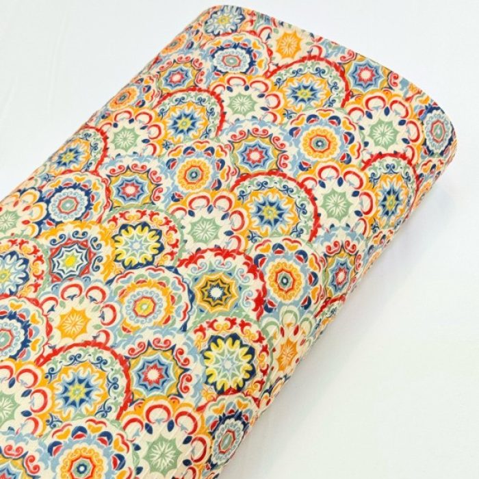 WhatsApp Image 2025-03-03 at 11.18.00 (1)